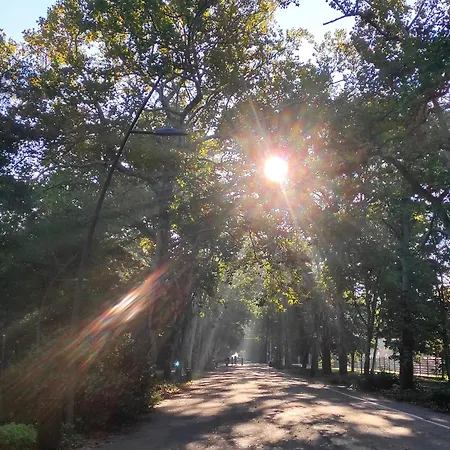 Cityluxandloft 2 Bestern Appartement Szeged